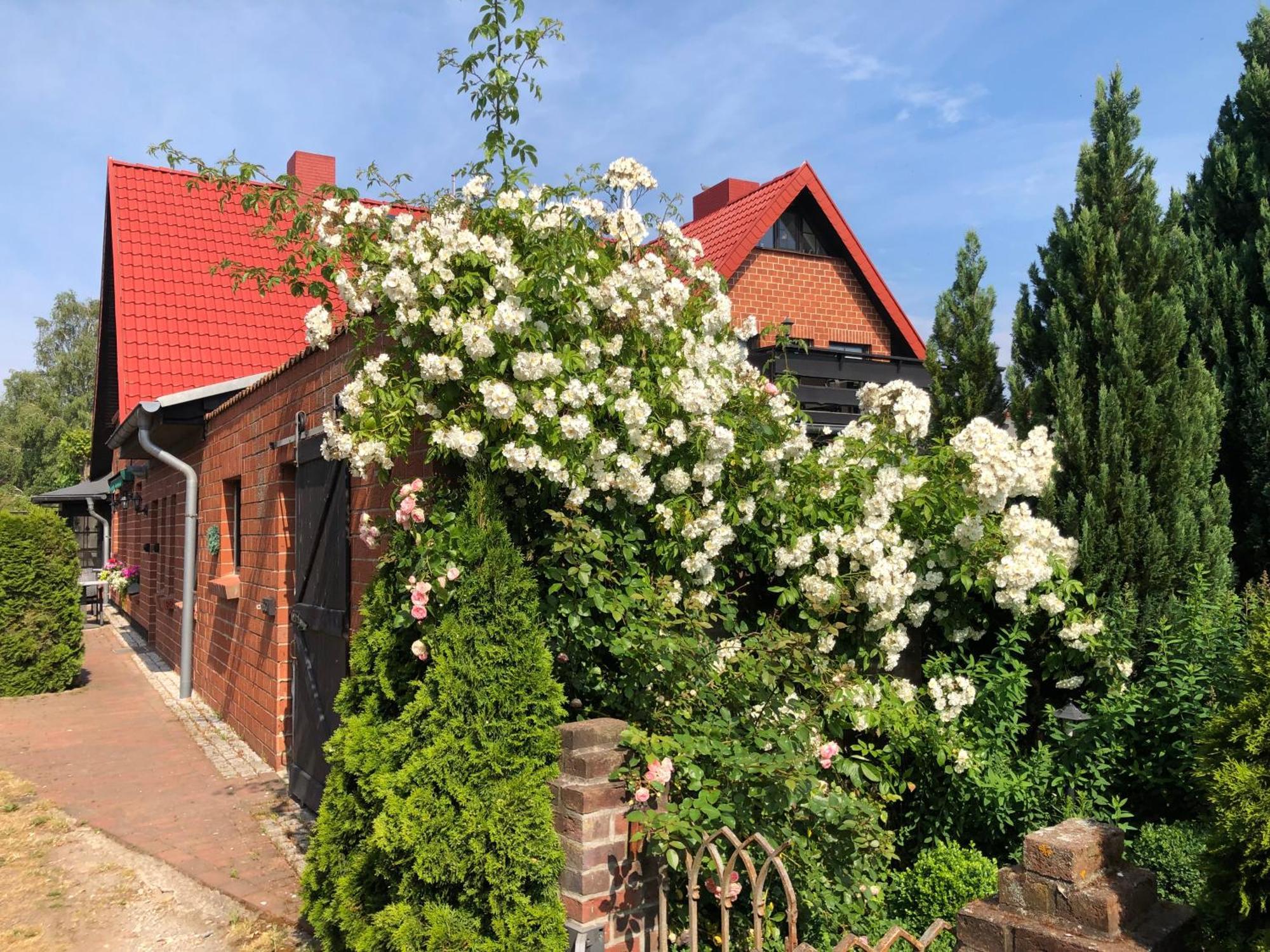 Schlunt Guest house *